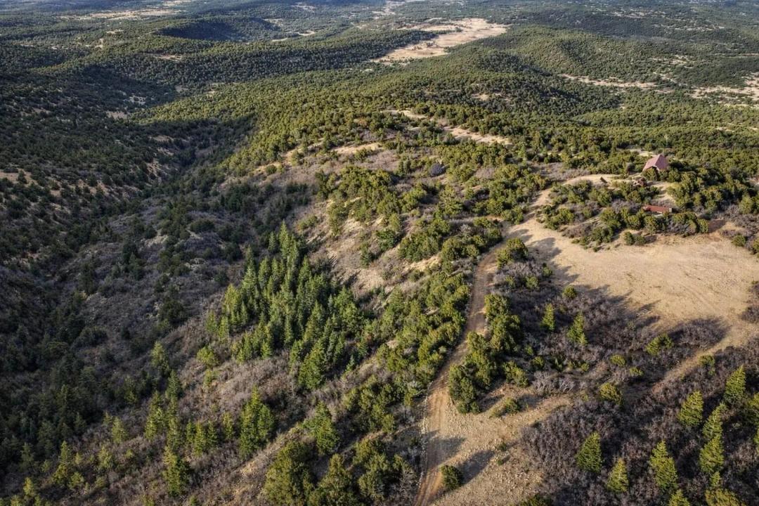 235 CR 542, Gardner, CO 81040