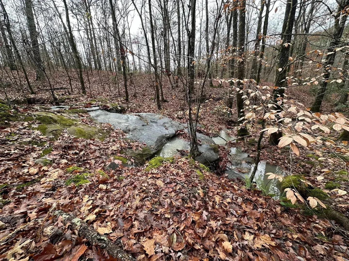 35578241-18