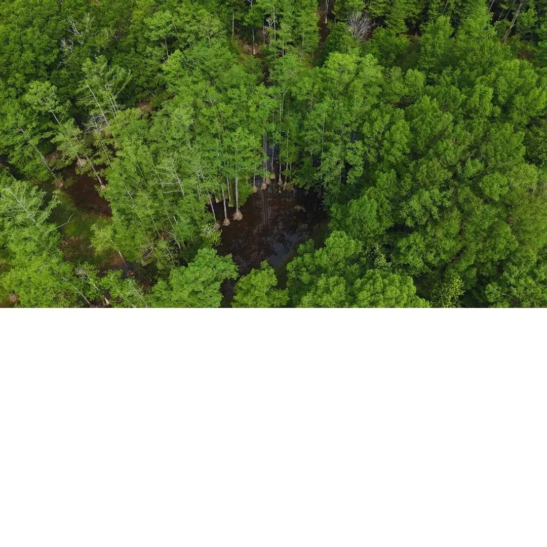 35581190-5