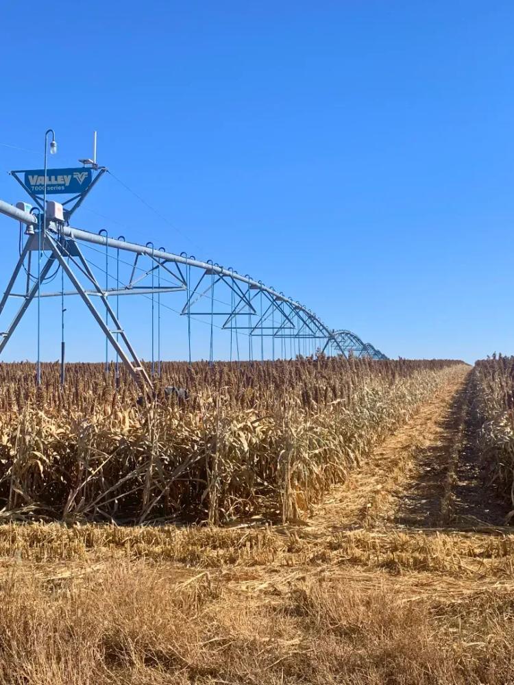 Oasis Irrigated Farms 2,811 Acres