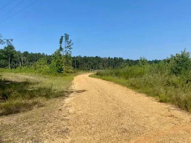 40 acres Robert Jones Road Ready to Divide 