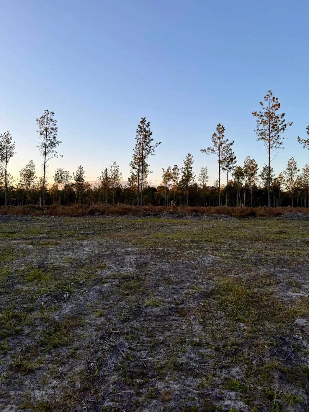 Land for sale: 5.00 - 6.9 acres lots