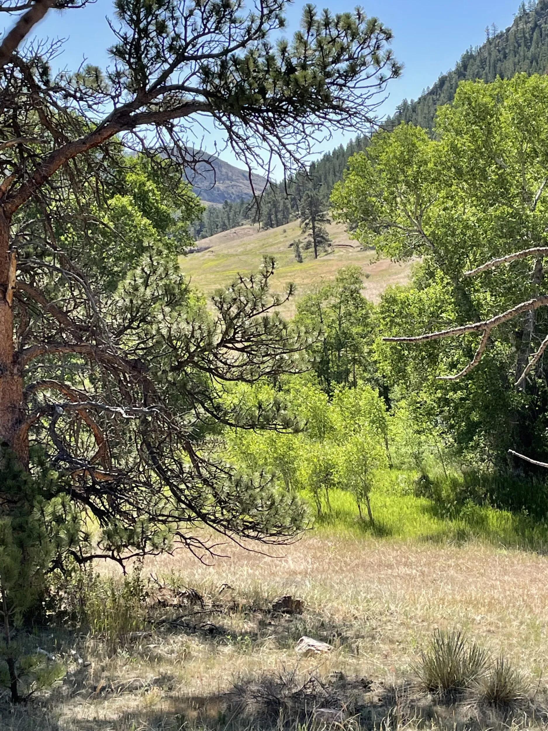 35616033-24