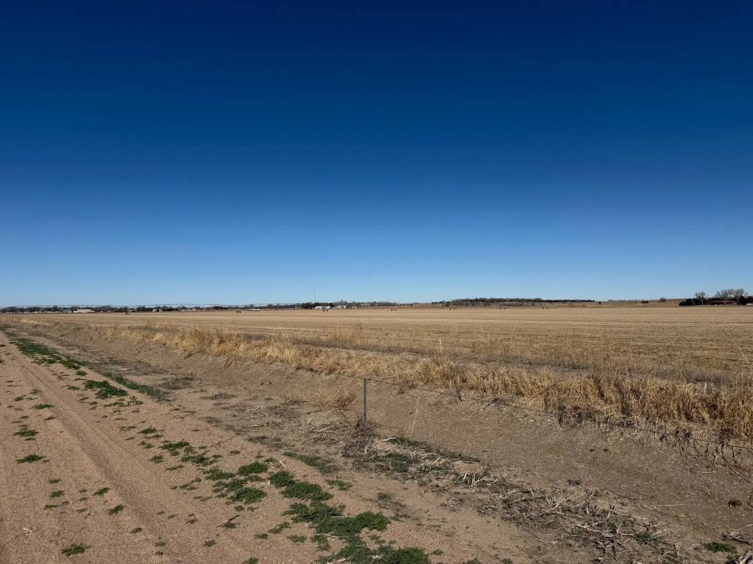 174± AC Buffalo irrigated land