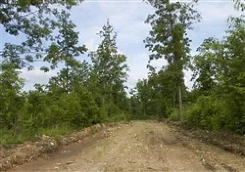 Missouri, Shannon County, 11.48 Acre