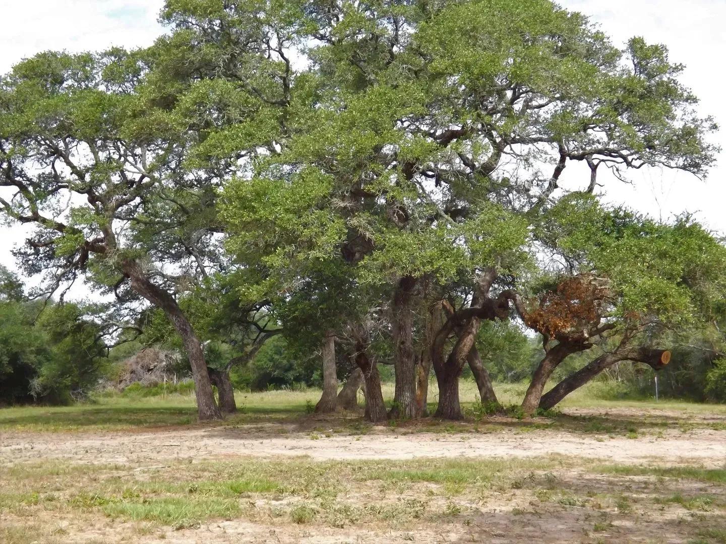 35664990-3