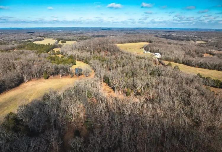 Zimmerman Road