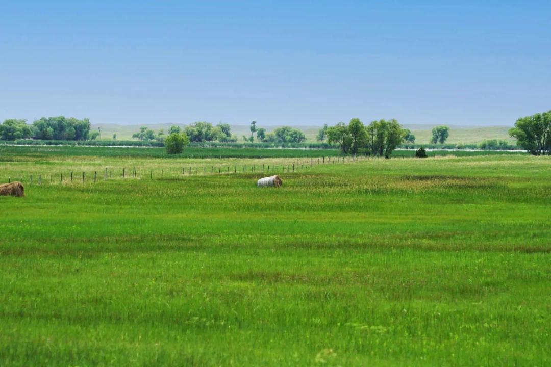 Paramount Valley Ranch