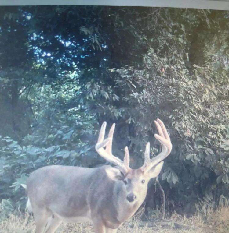 ONE Equity Share at Whistle Place Hunting Club