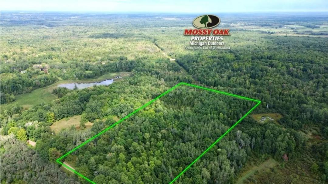 20 +/- Acres / Osceola County, MI / Investment Opportunity / Recreational Land For Sale
