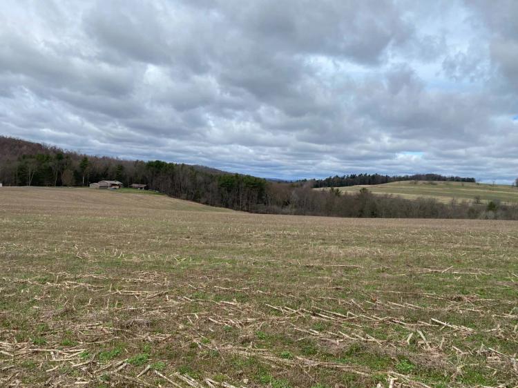 18.20 Acres at 0 Lion Road