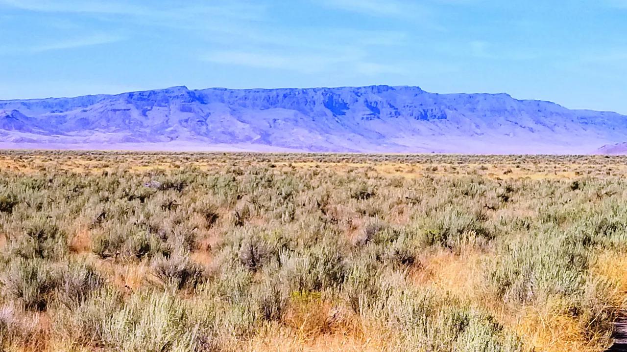 35747266-4