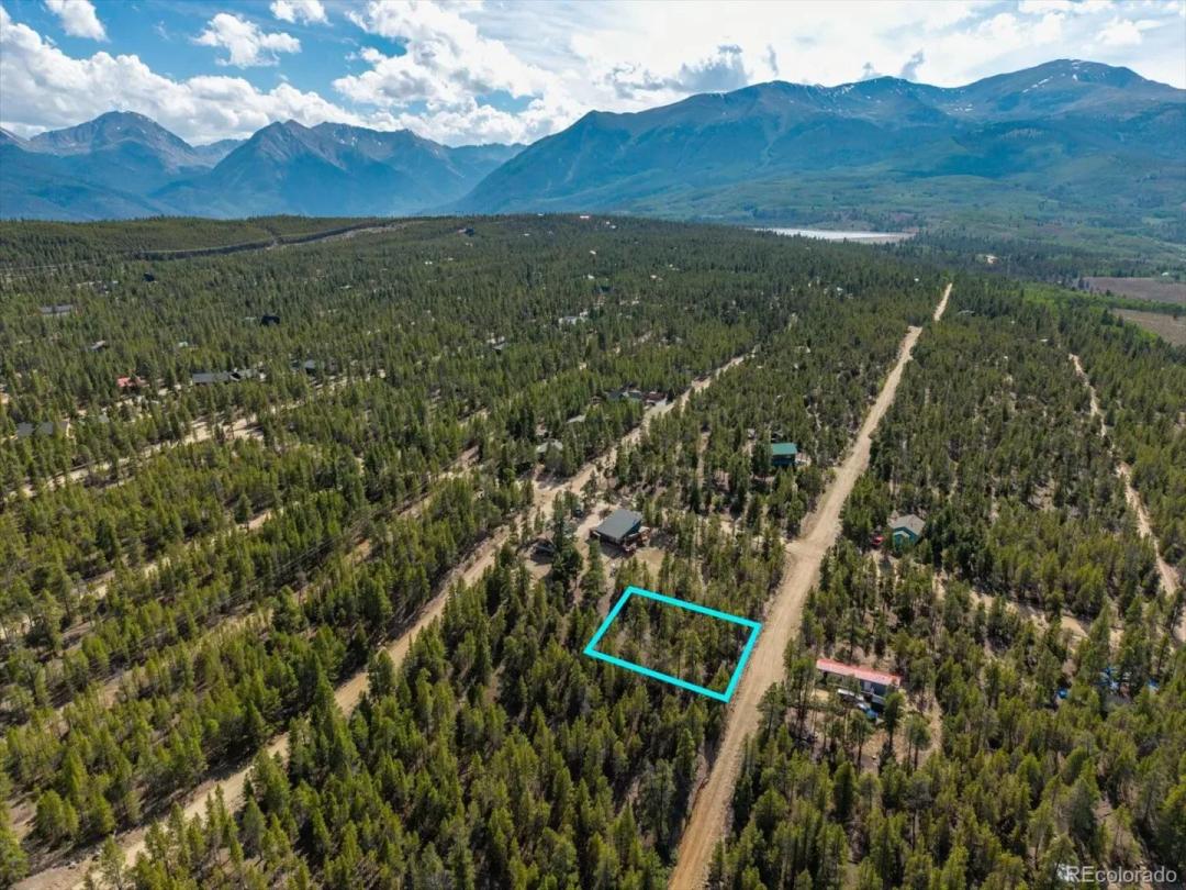 198 Lodgepole Drive, Leadville