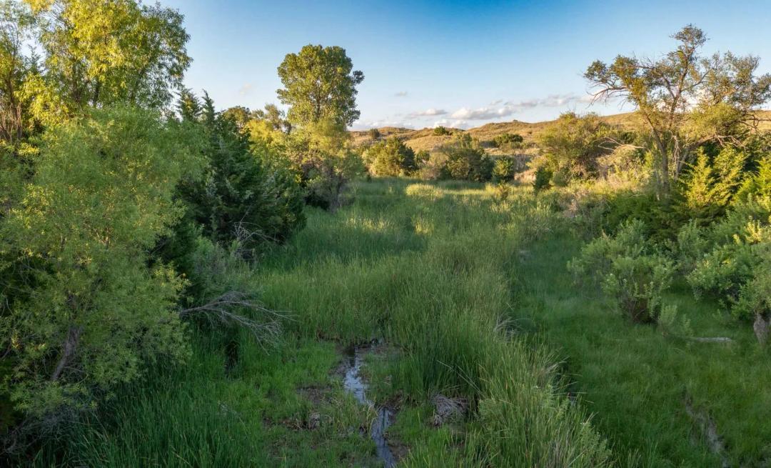 Glenwood Creek - Live Water Ranch