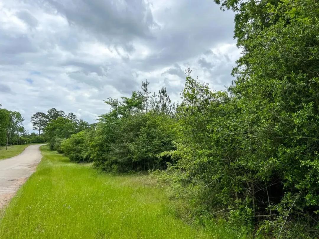 17 Acres | T-20 | CR 2145
