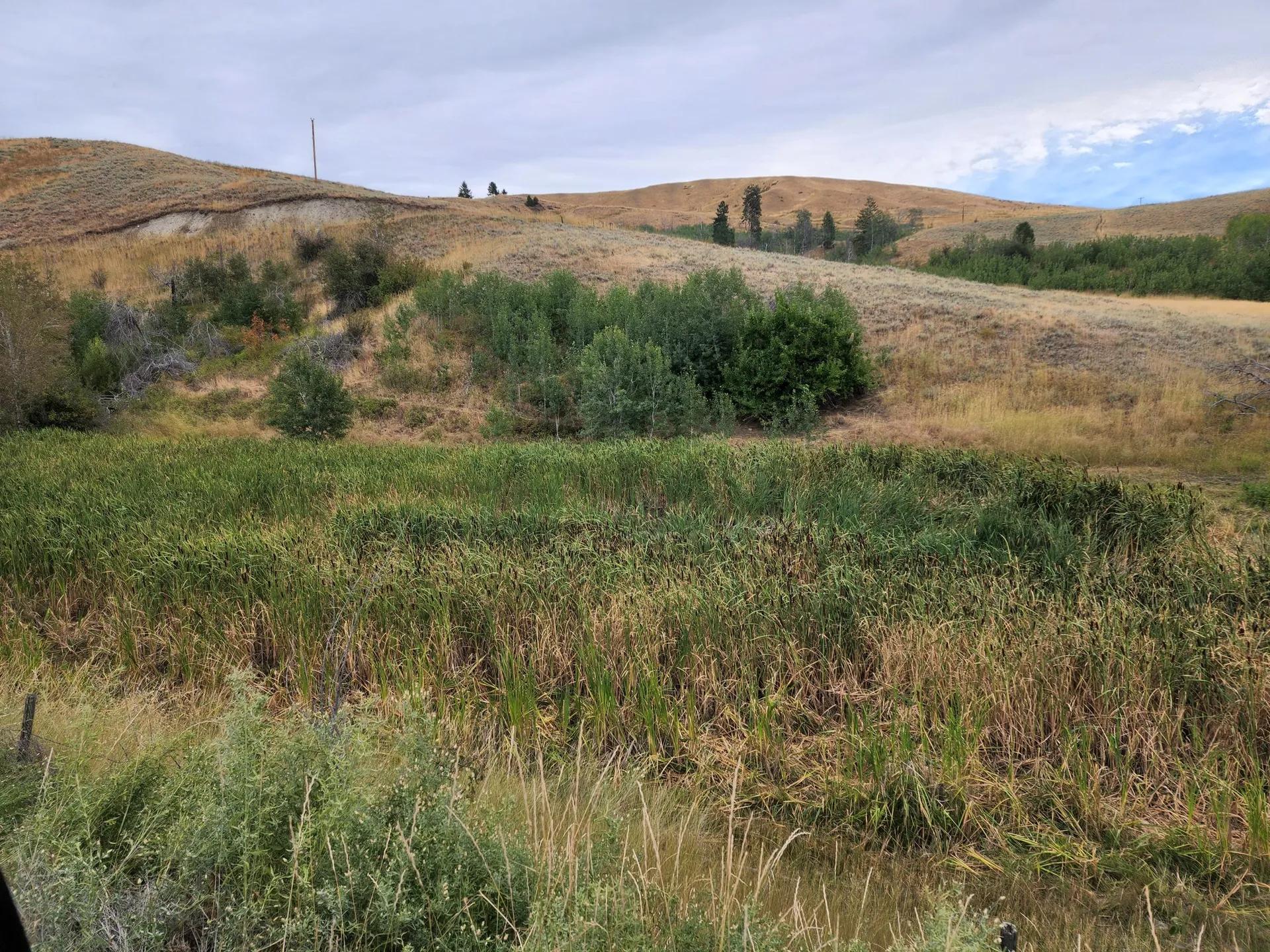 35847398-70
