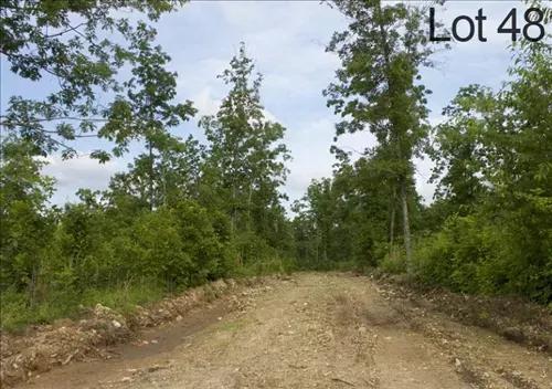 Missouri, Shannon County, 17.03 Acre