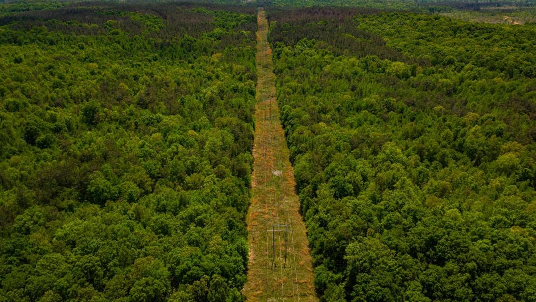 Pittsboro Hunting and Timber