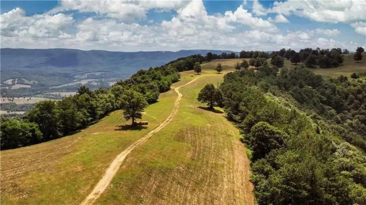 Sky Island - A Must See Newton County Property