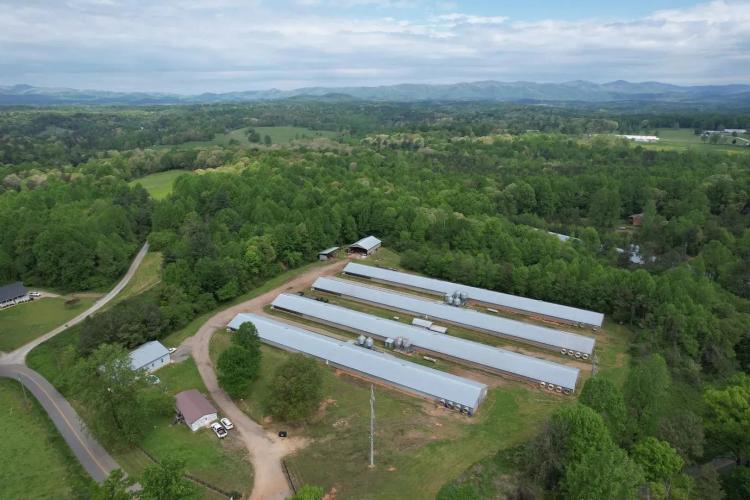 Juno Broiler Farm – Updated Poultry Operation in Scenic North Georgia