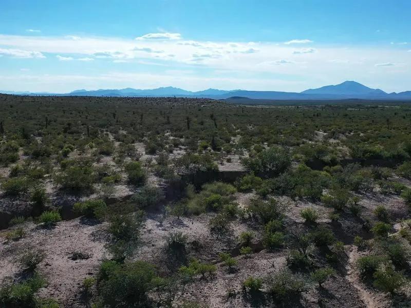 EXPANSIVE 40-Acre West Texas Frontier: County Road Access & Mountain Vistas