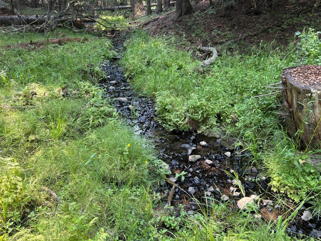Mount Idaho