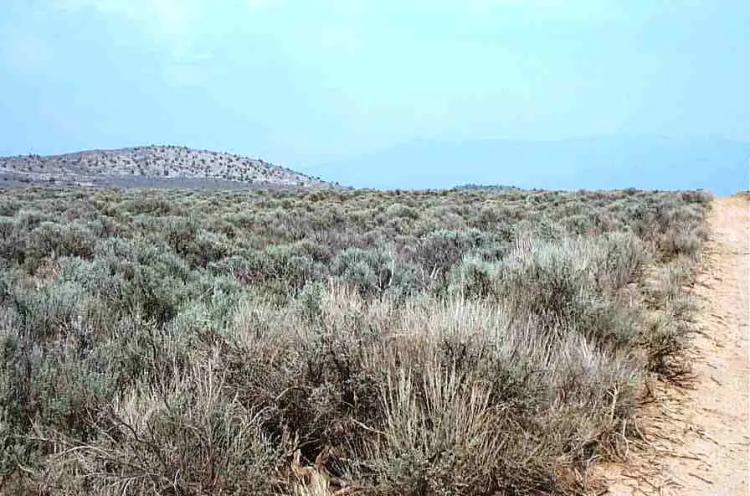 Taos County - Tres Piedras New Mexico 1/2 acre CAMP, RV, BUILD