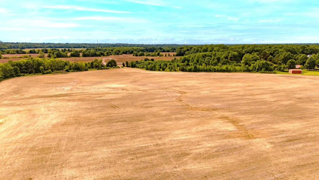 North Mississippi Row Crop Farm & Development Opportunity Near Memphis