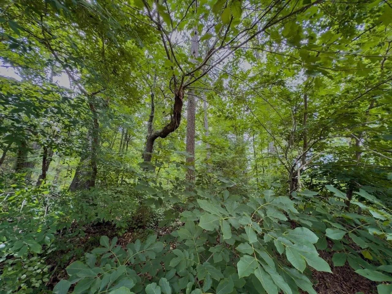 36012758-6
