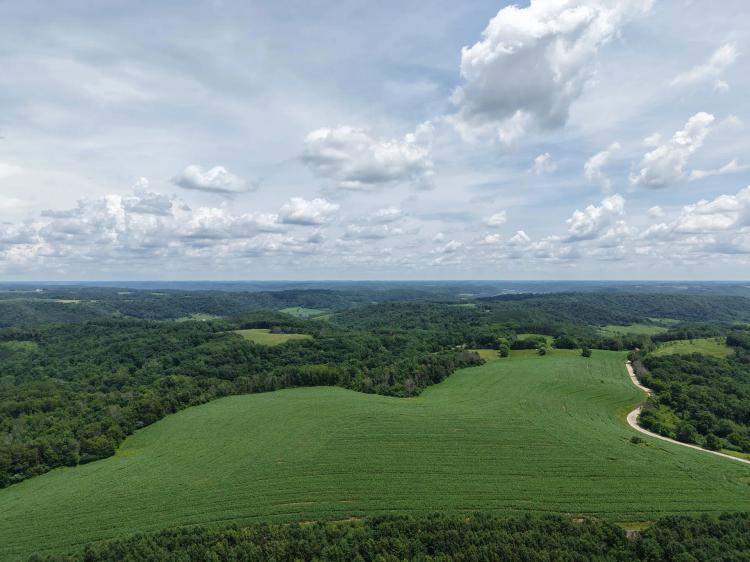 60 Acres of Ridgetop Land for Sale in Viola, Wisconsin - Driftless Region Gem!