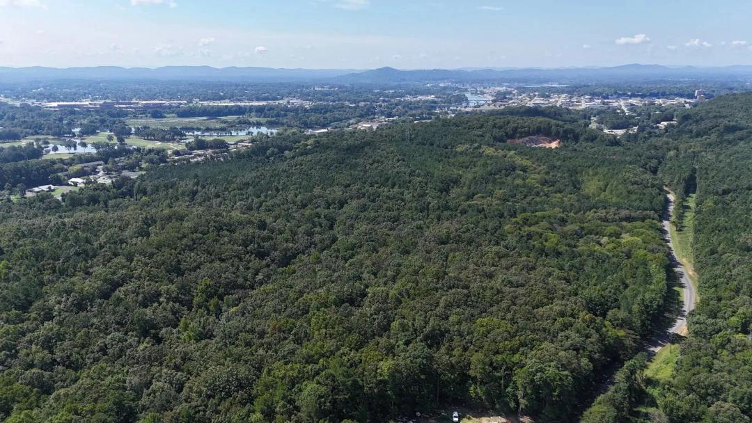 Woodland Escape – 18.44 Acres Near Gadsden