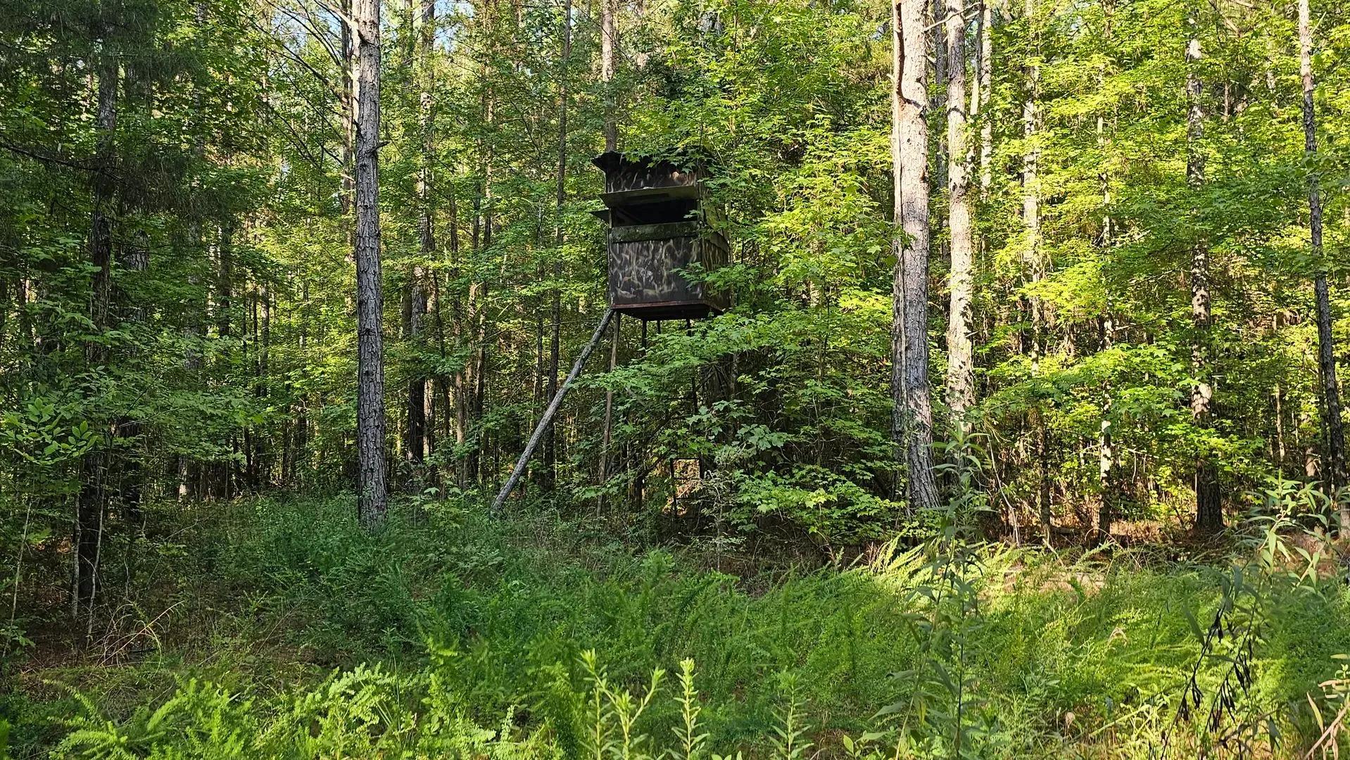 36051665-16