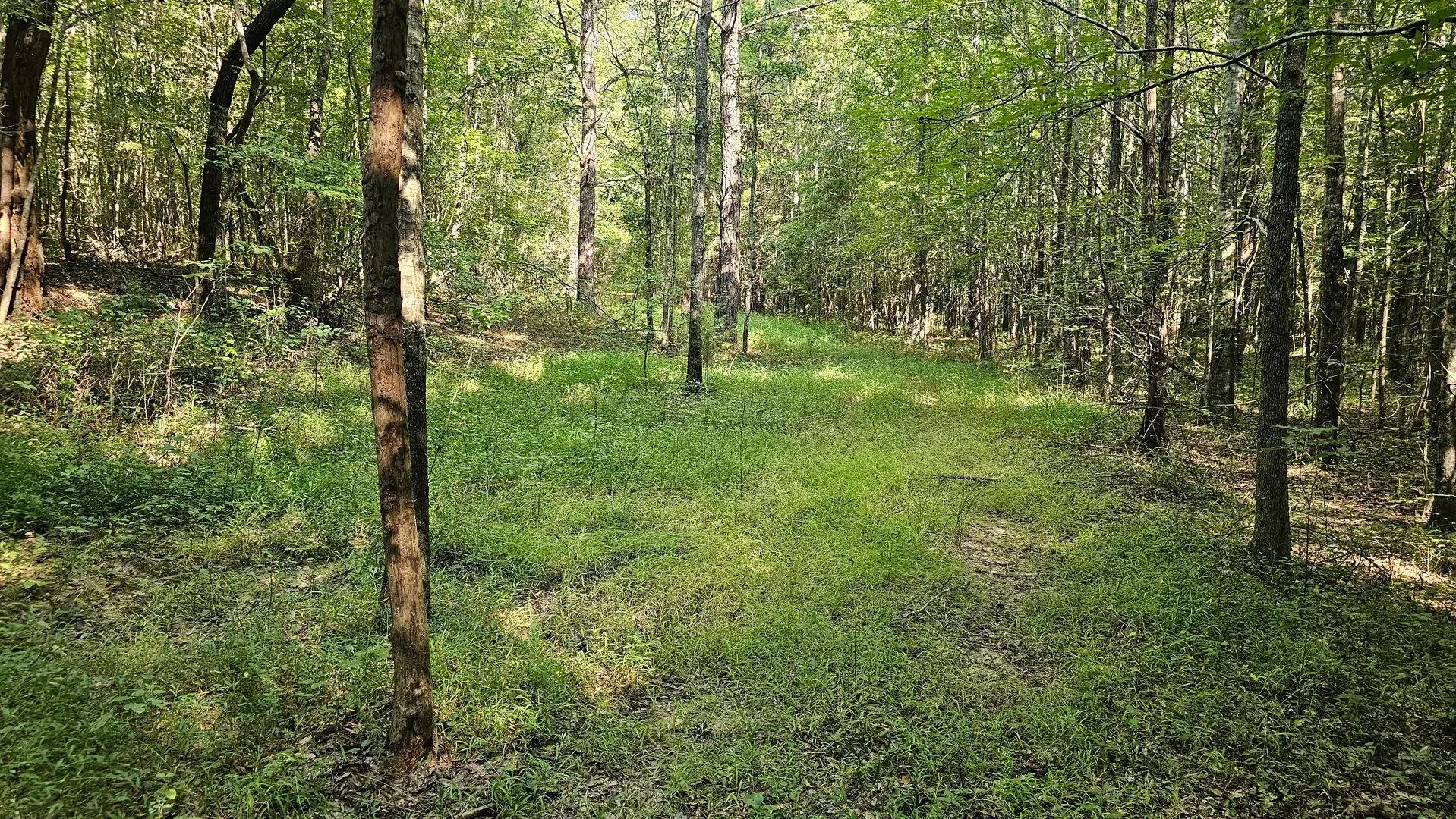 36051665-19