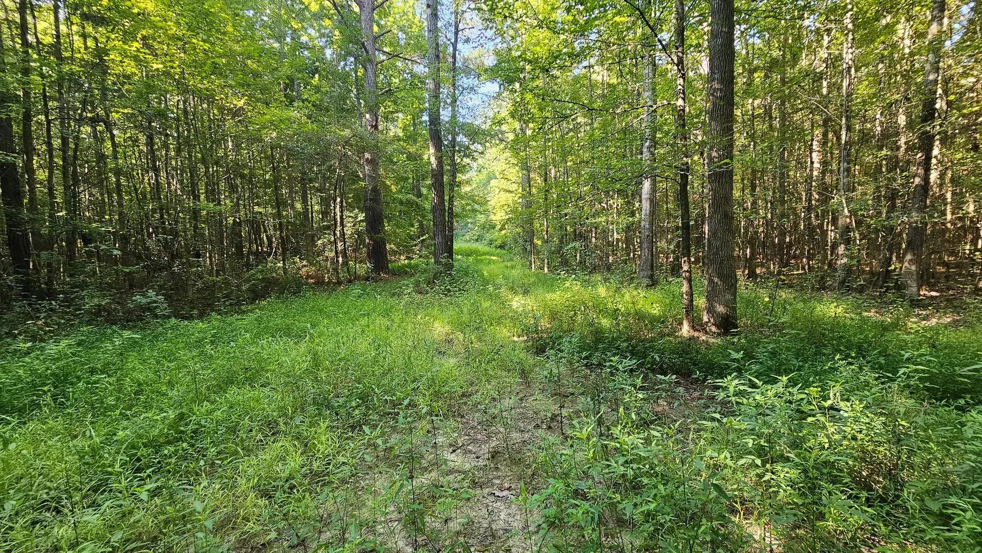 36051665-9