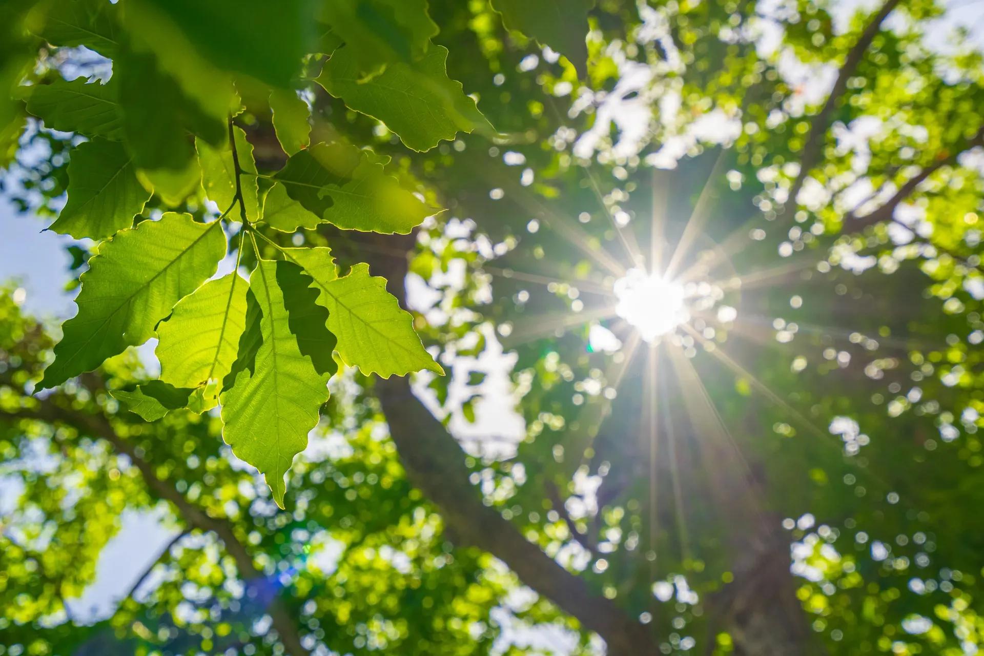 36059299-3