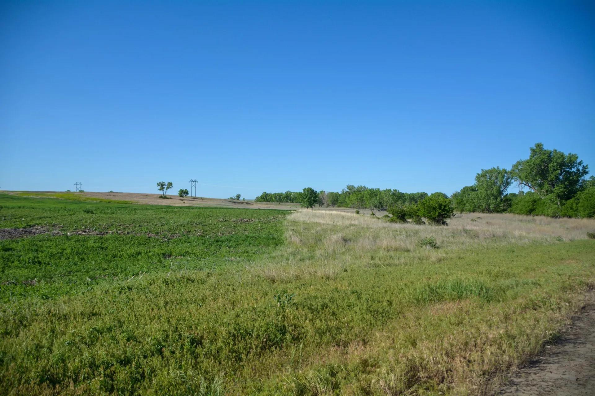36067878-16