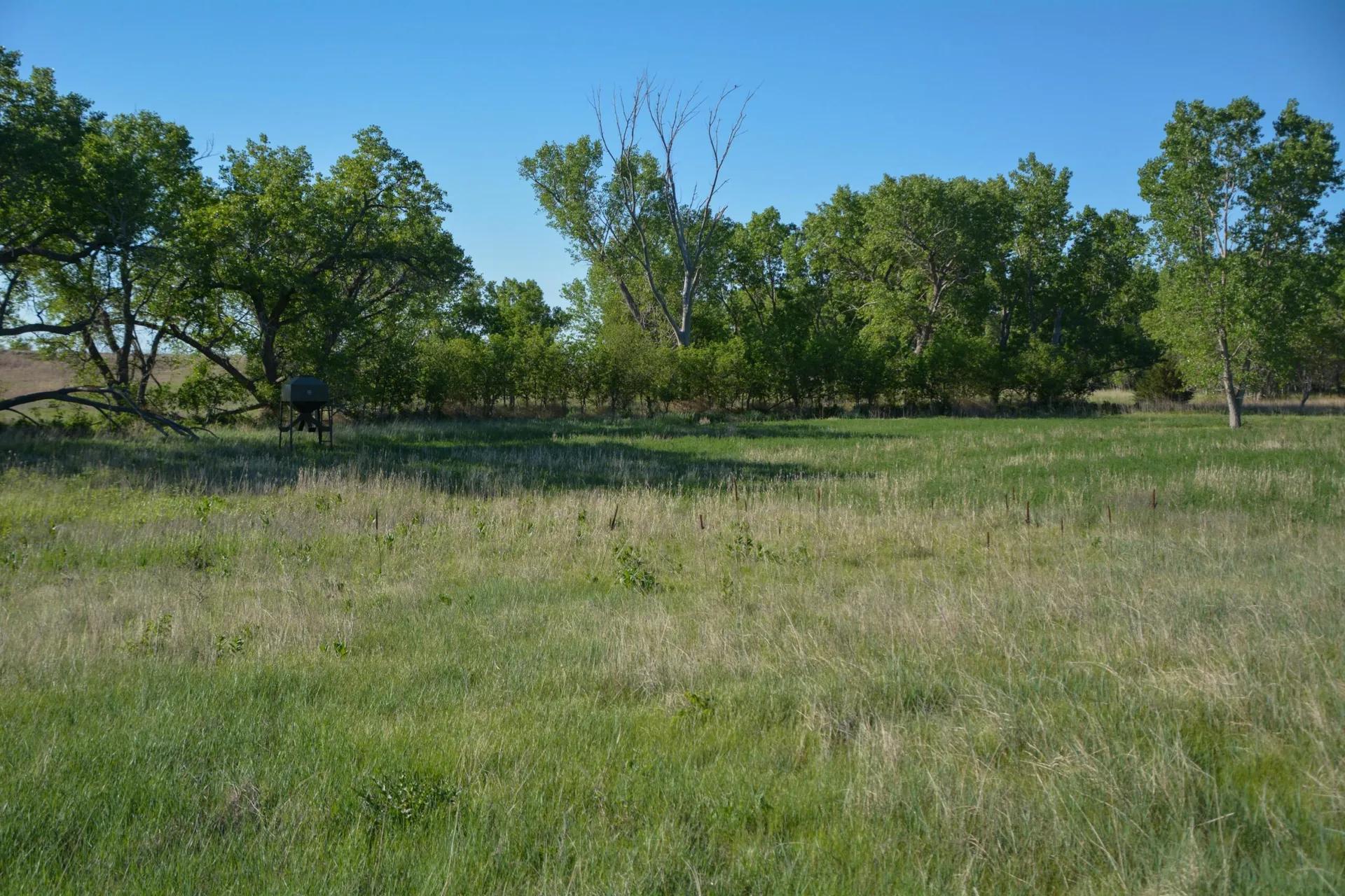 36067878-21