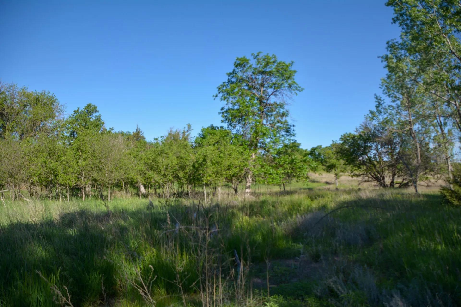36067878-30