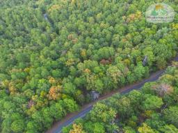 20241006-DJI_0273