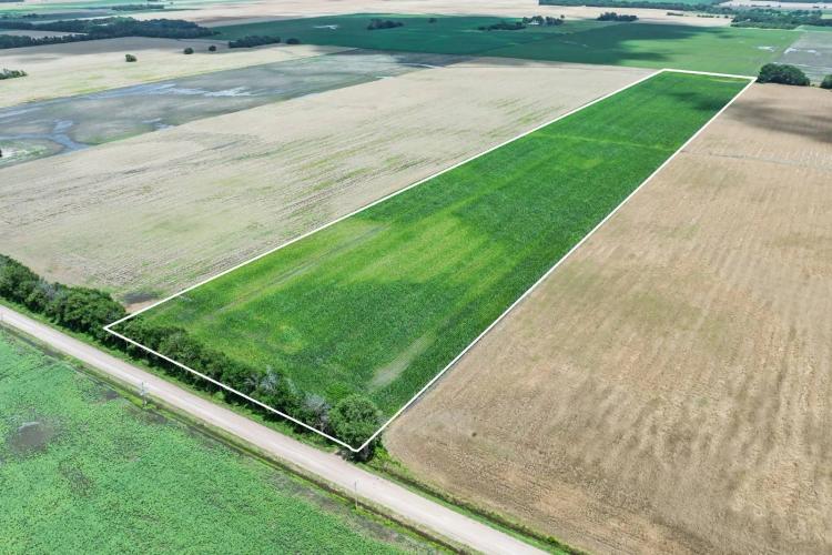 22 +/- acre Potential build site with tillable farm income