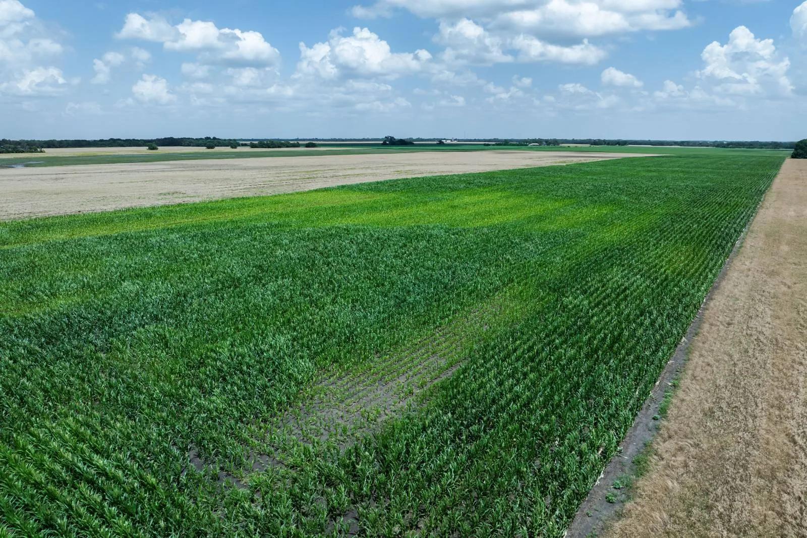 3609684-15