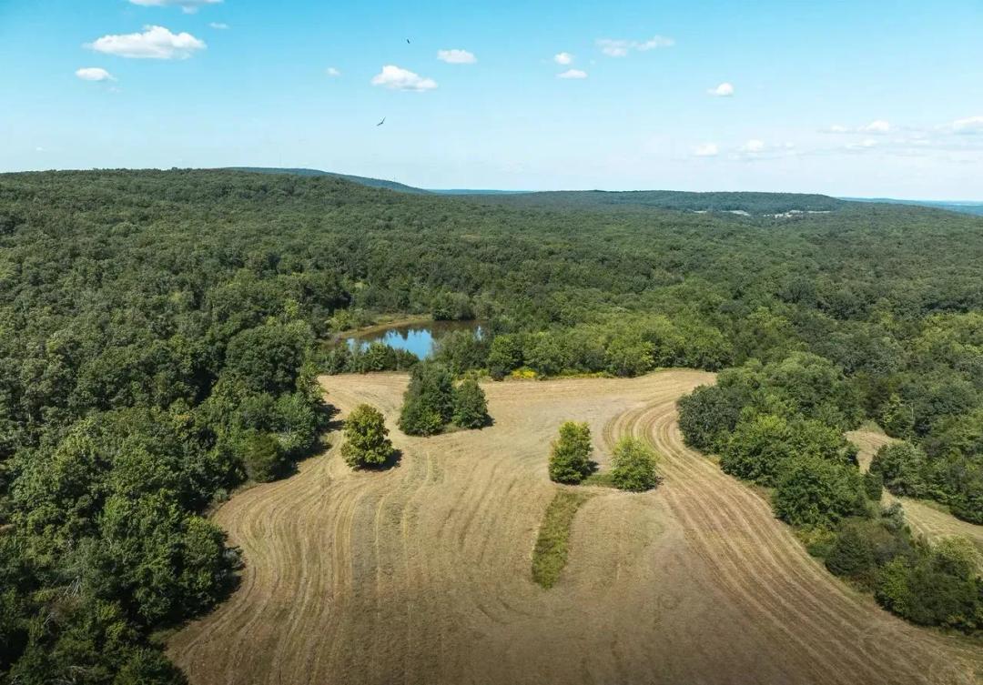 Buck Mountain Road Tract 4