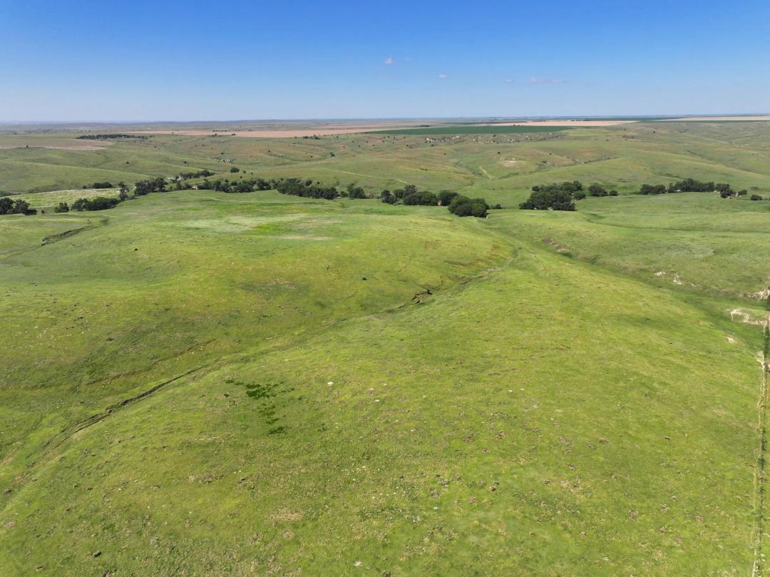 1289 Acres, Dundy County Dryland and Range Absolute Auction
