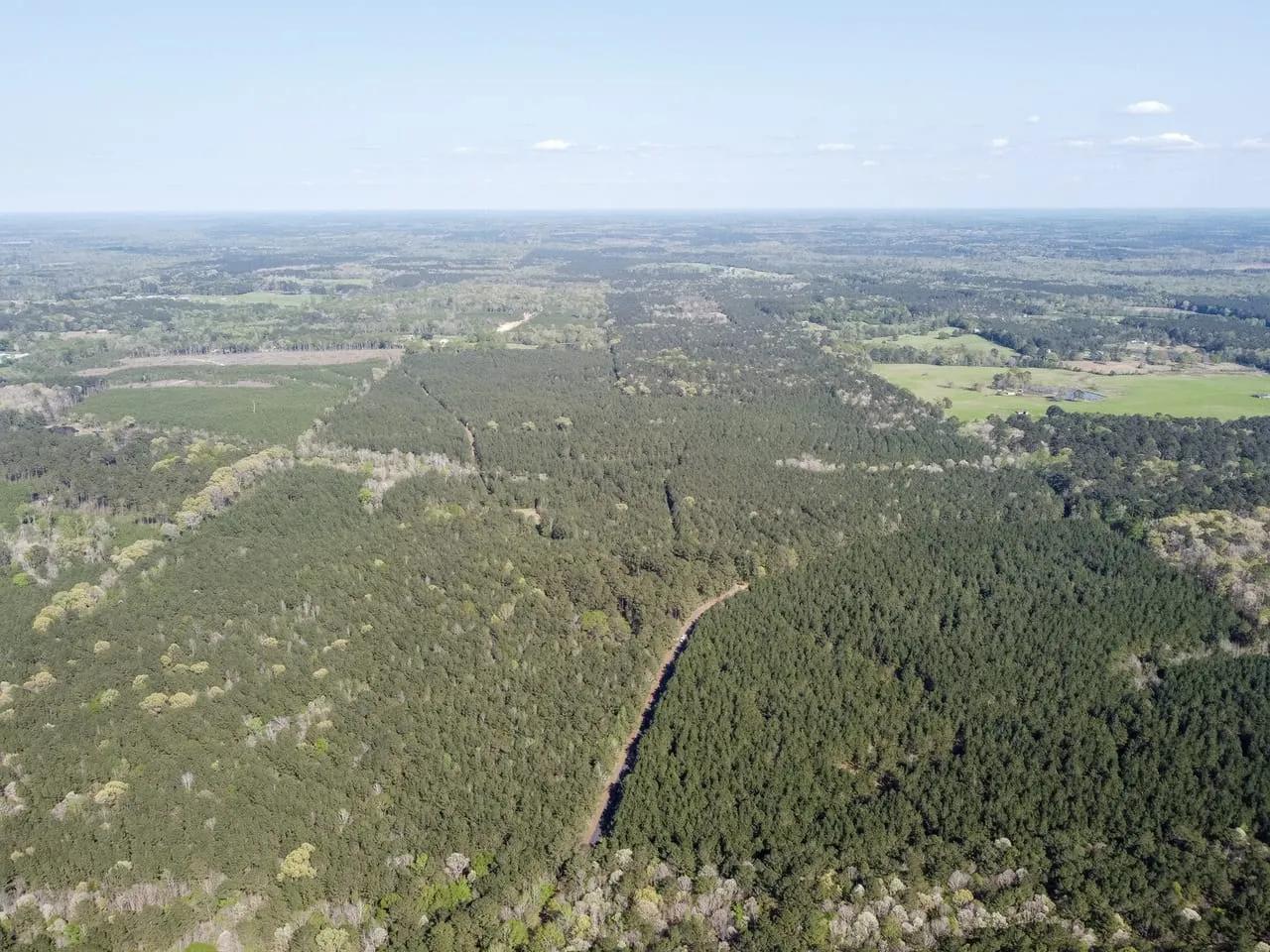 36209546-25
