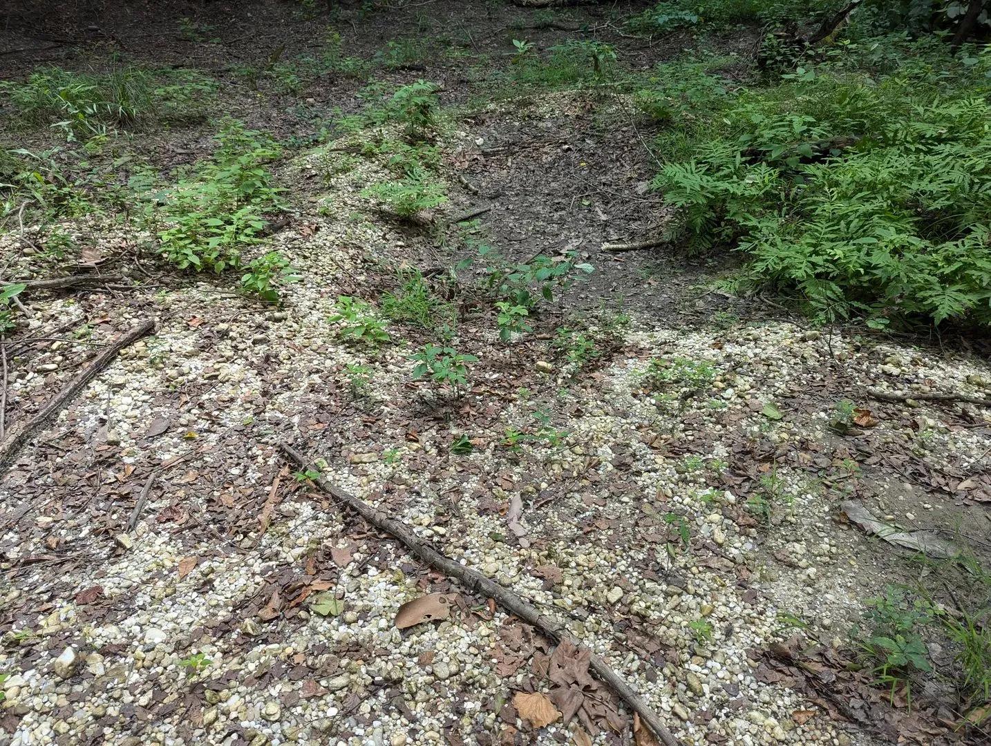 36227103-33