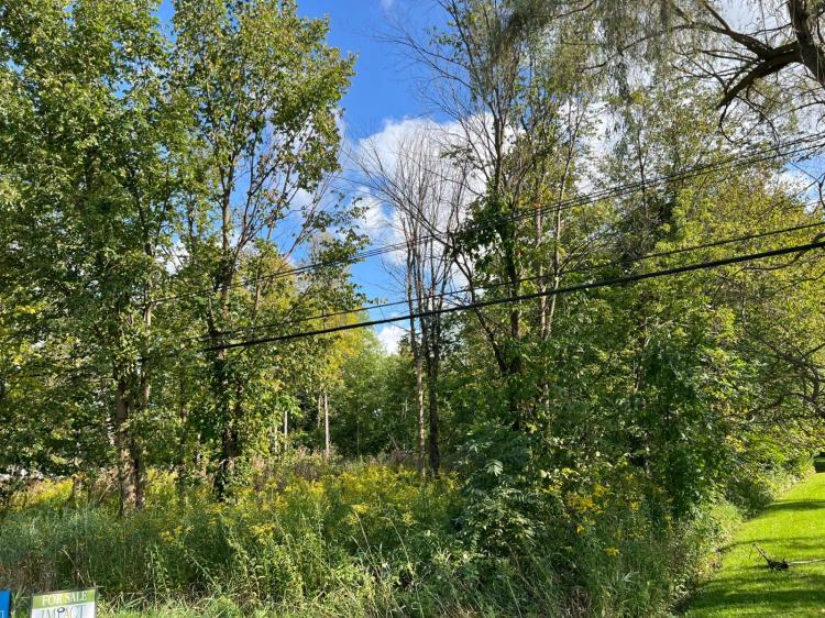 Create Your Ideal Lifestyle on This 1.5-Acre Wooded Parcel!