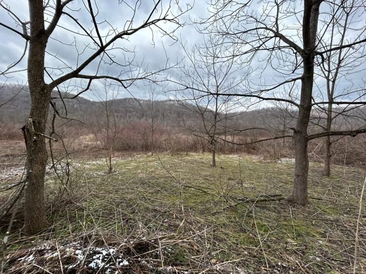 2000 Humbert Rd - Confluence - Somerset - 80.08