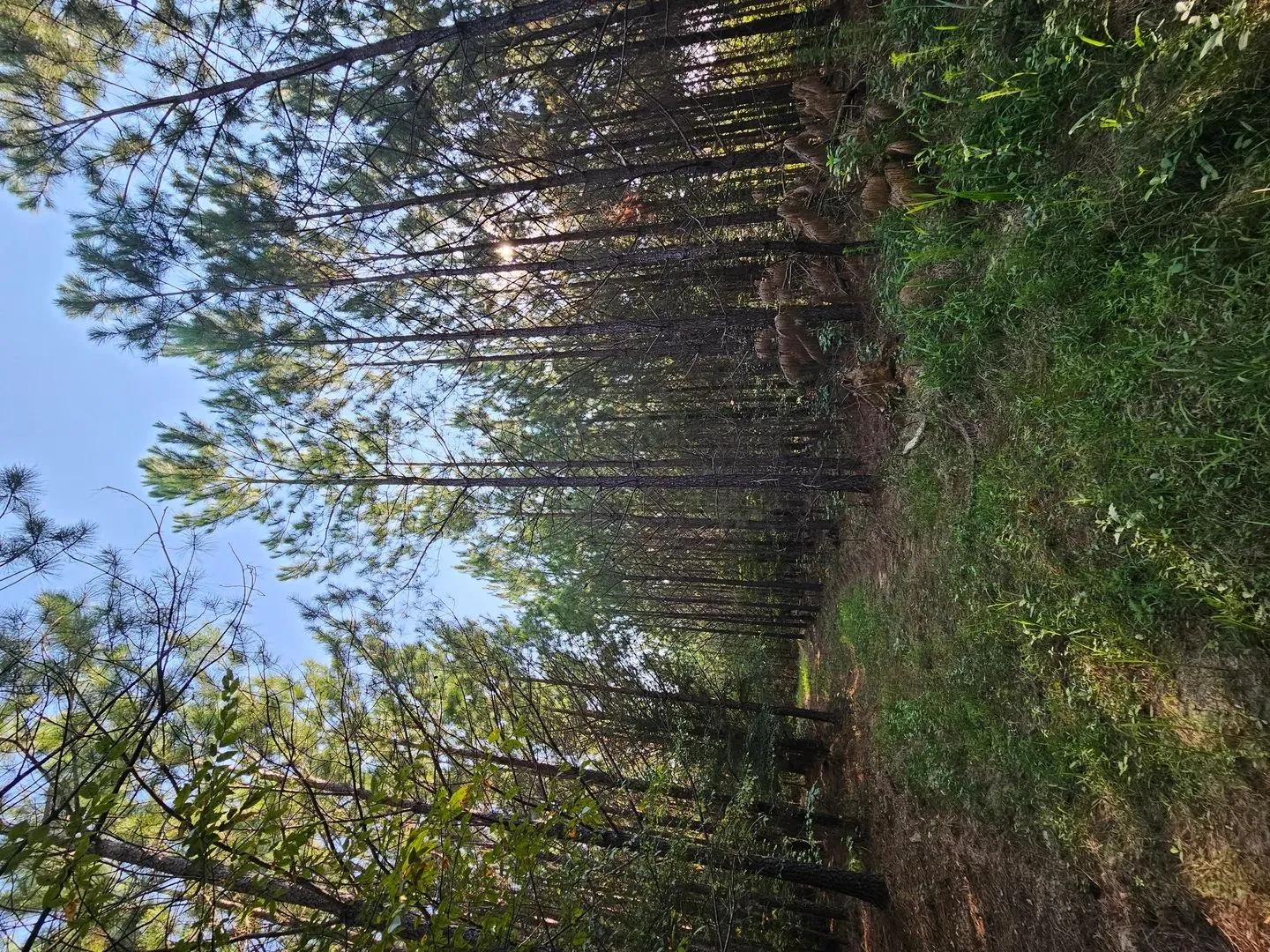36378920-12