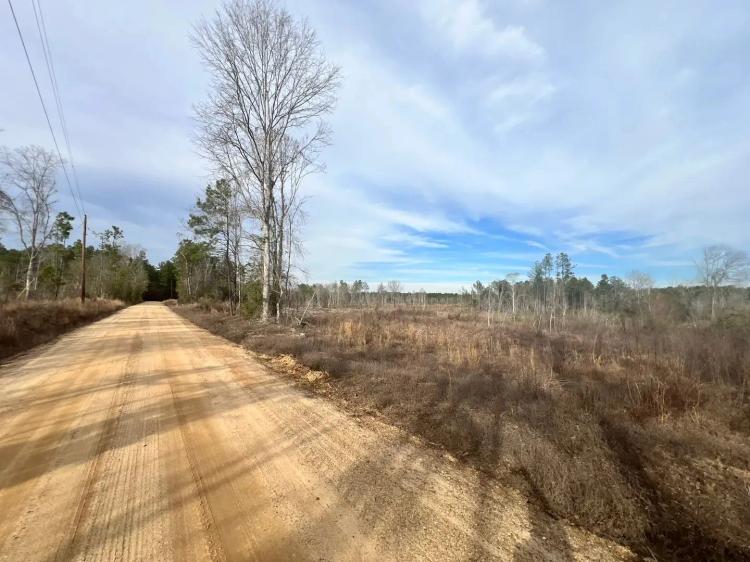 32 Acres in Wayne County, MS in the heart of the DeSotot Ntl Forest
