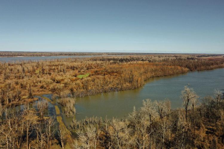 One Equity Share at Smith Point Hunting Club in Bolivar County, MS 